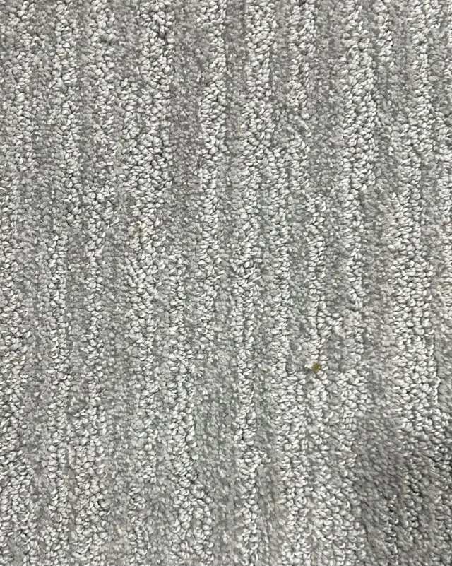 Quality Carpets &Rugs for Sale- Great Prices! - Photo 4