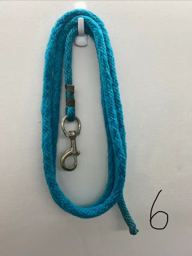 Lead ropes! - Photo 6