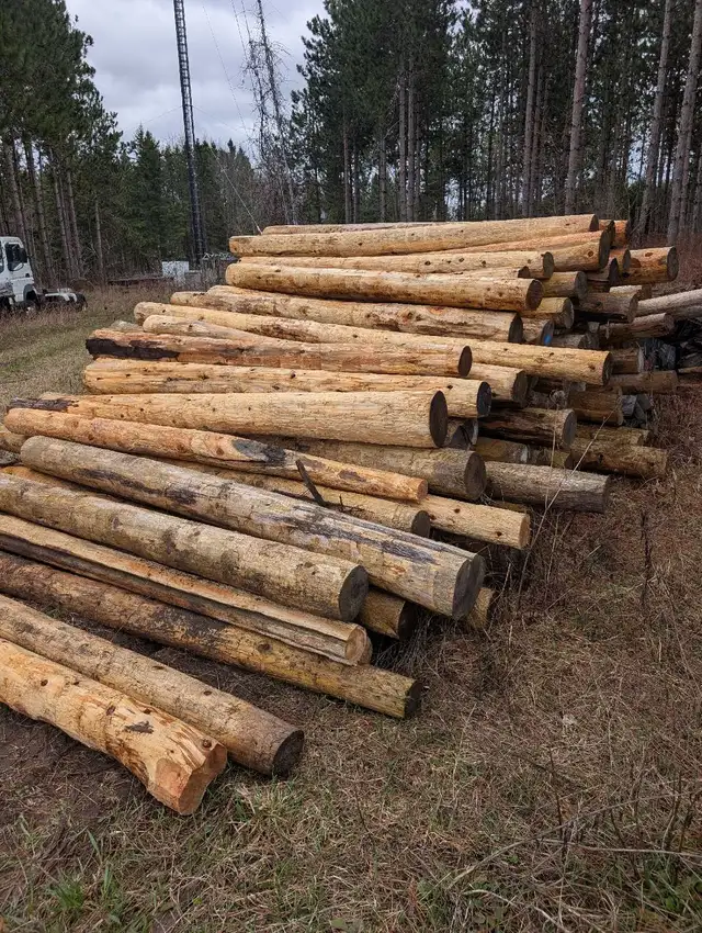 Cedar Posts Rails Poles Fence - Photo 2