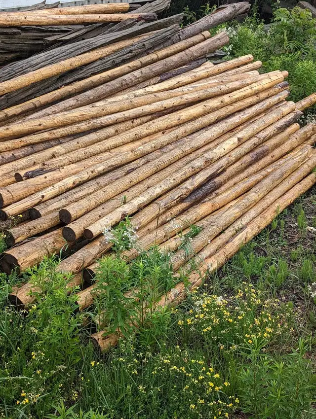 Cedar Posts Rails Poles Fence - Photo 7