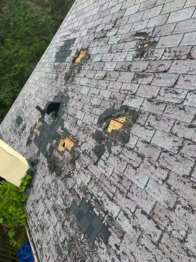 Roof Repairs - Photo 3
