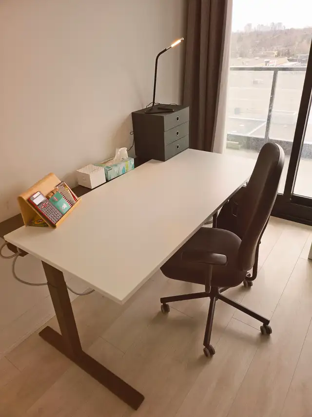 Home Office Bundle — SMÖRKULL chair   MITTZON desk