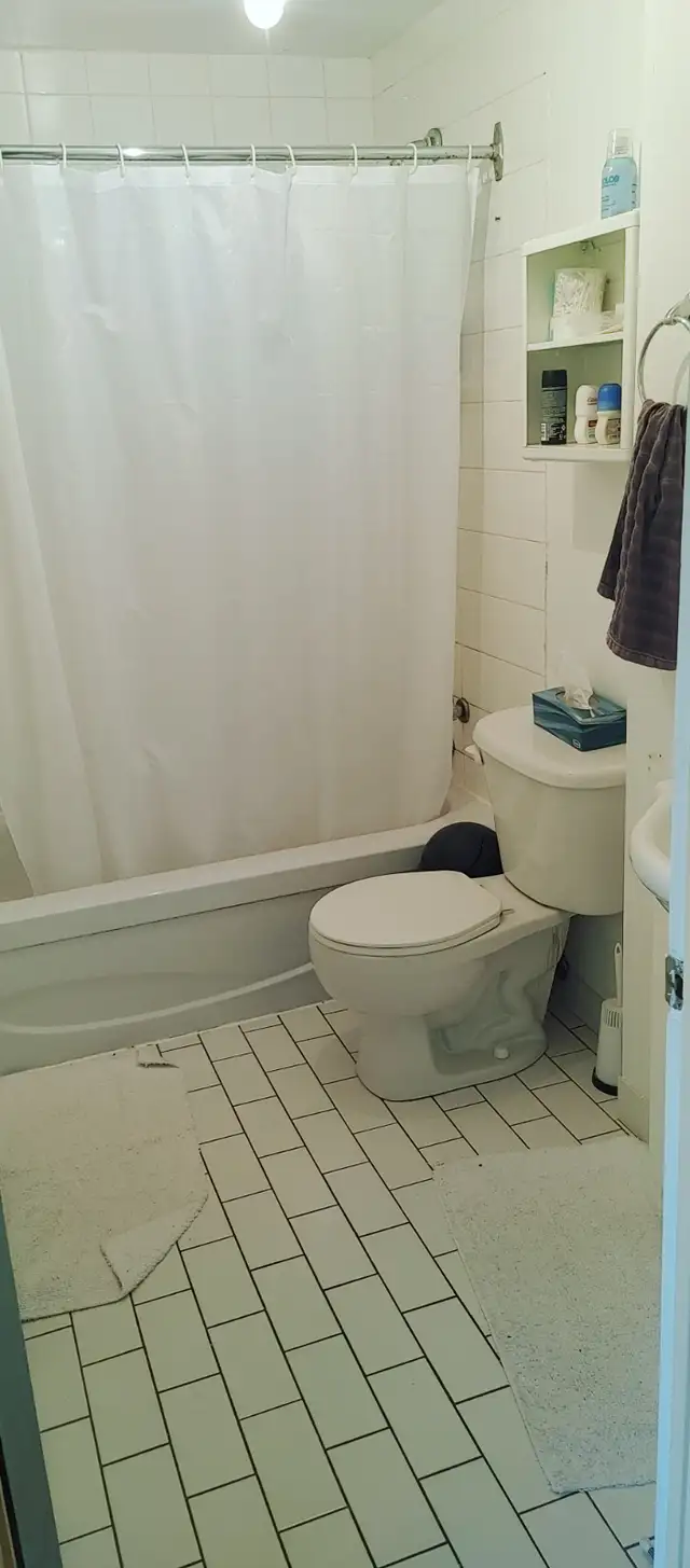 GRAND 3 1/2 AU PLATEAU-MONT-ROYAL - Photo 5