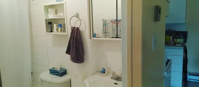 GRAND 3 1/2 AU PLATEAU-MONT-ROYAL - Photo 6