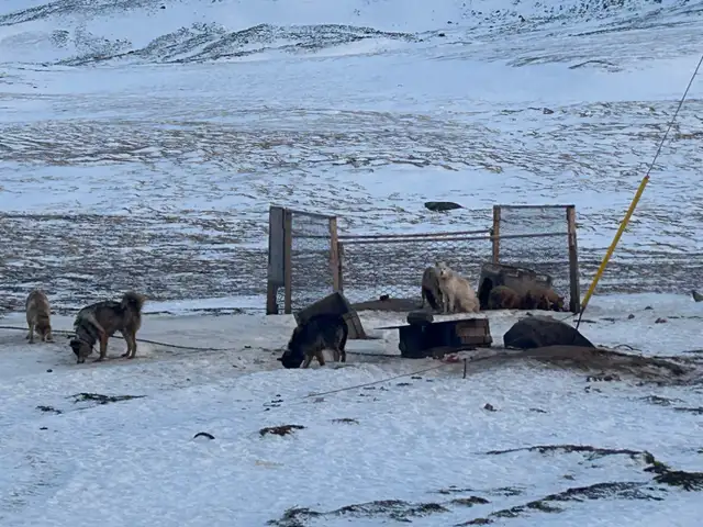 camp helper and cleaner - Photo 2