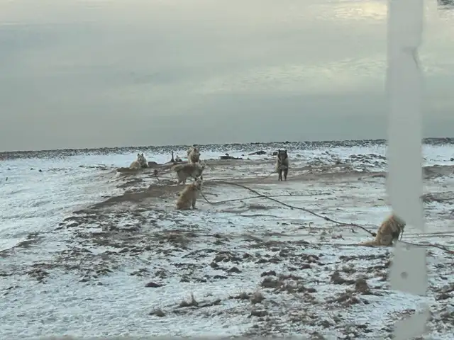 camp helper and cleaner - Photo 3