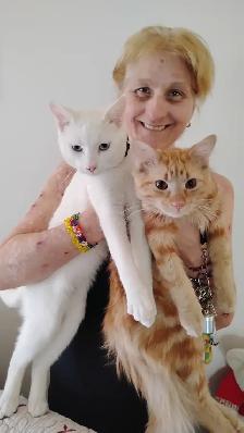 Deux chaton male de 8 mois a vendre