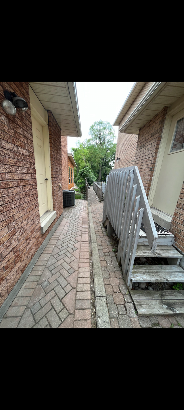 3BR Basement for Rent in Scarborough - Photo 10