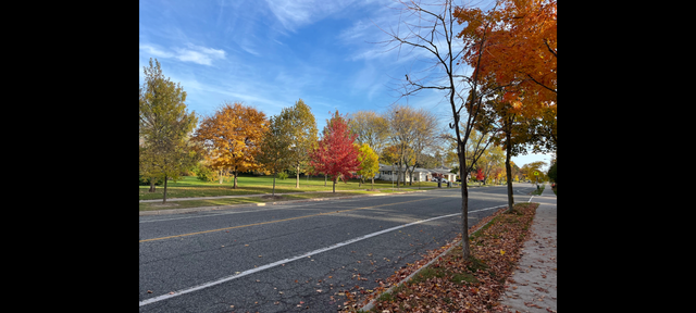 3BR Basement for Rent in Scarborough - Photo 13