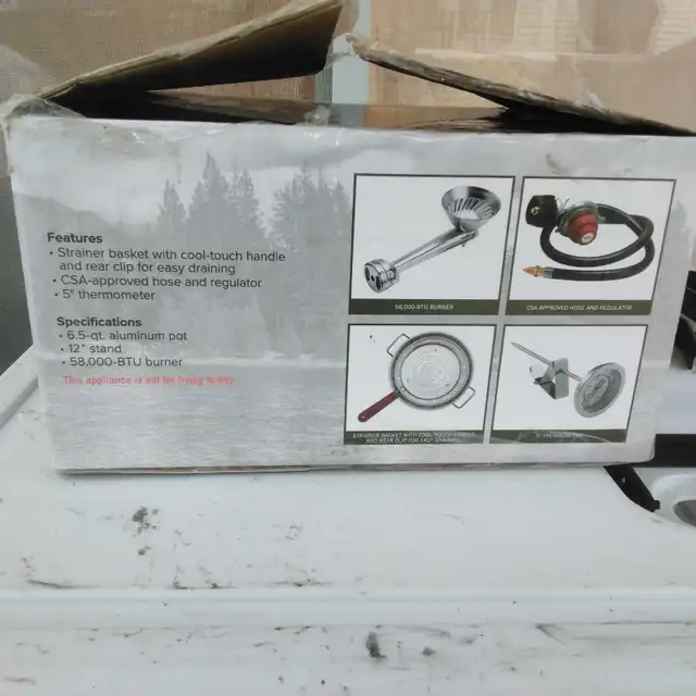 Oil Fish Fryer - Photo 3