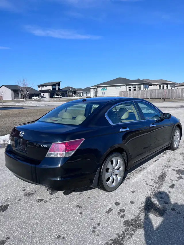 2008 Honda Accord SAFETIED - Photo 3