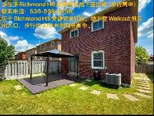 2 Br Basement for rent
