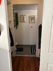 Grande chambre intime (toilette, balcon pour soi) metro Papineau - Photo 3