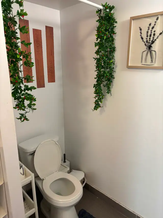 Grande chambre intime (toilette, balcon pour soi) metro Papineau - Photo 4