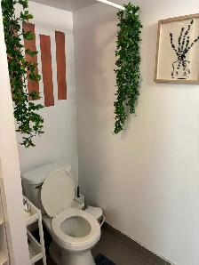 Grande chambre intime (toilette, balcon pour soi) metro Papineau - Photo 4