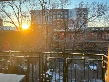 Grande chambre intime (toilette, balcon pour soi) metro Papineau - Photo 12