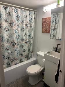 Grande chambre intime (toilette, balcon pour soi) metro Papineau - Photo 13