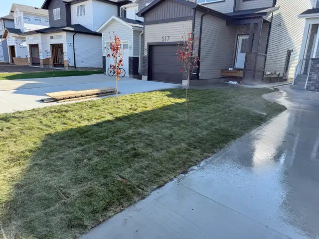 landscaping - Photo 4