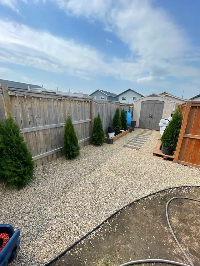 landscaping - Photo 10