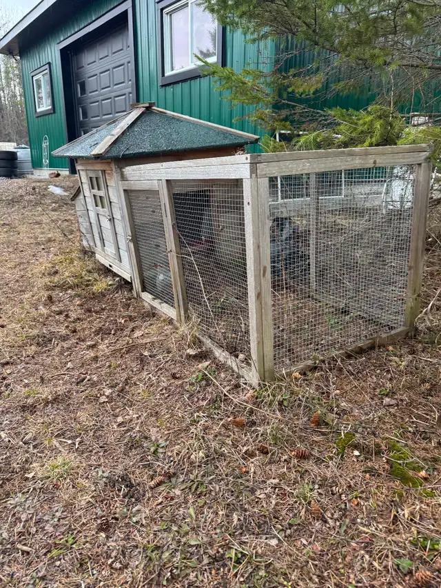 )))))Chicken coop /poulailler((((( - Photo 2