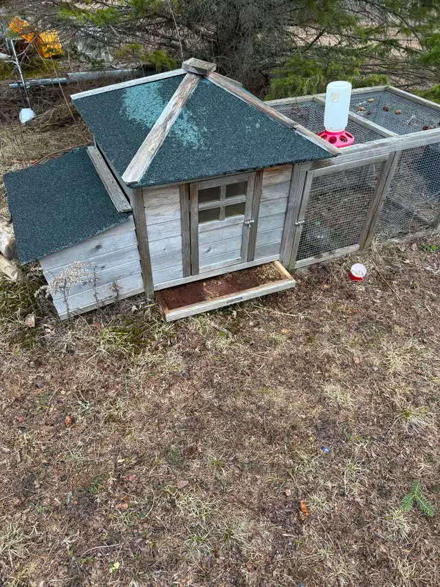 )))))Chicken coop /poulailler((((( - Photo 3