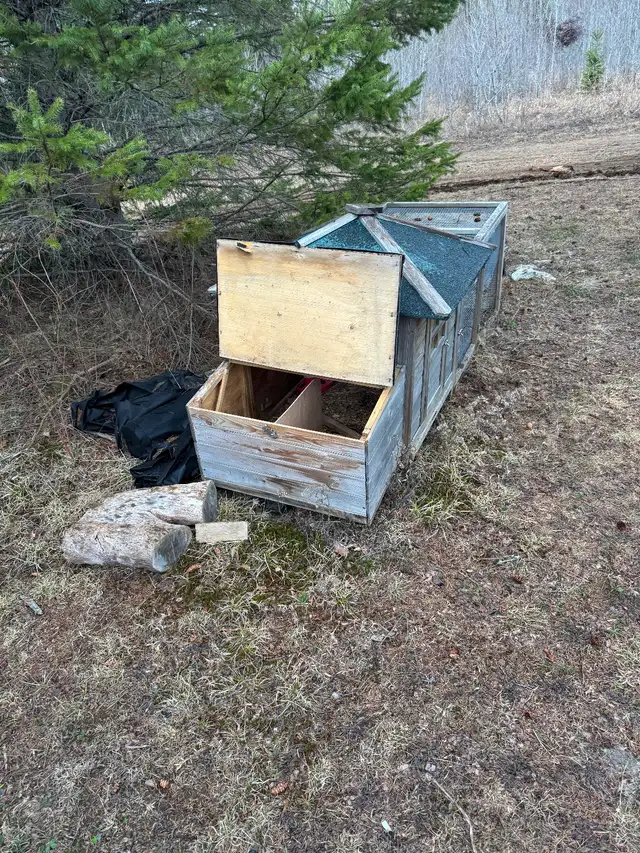 )))))Chicken coop /poulailler((((( - Photo 4