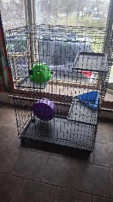 Grande cage sur roulettes