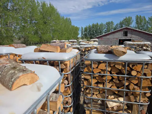 Firewood spring sale! Oak. Pine Mix - Photo 7