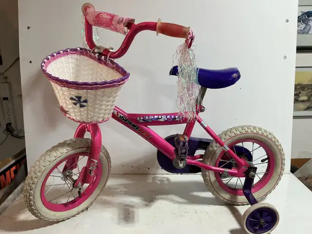 VÉLO ENFANT FILLE 2-4 ans
