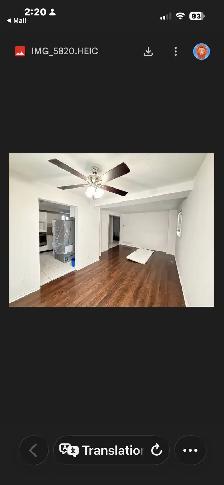 house for rent in Orleans - Photo 8