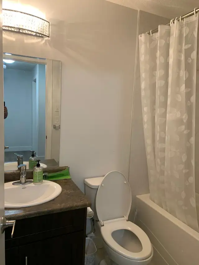 Two Bedroom Legal Basement for rent in Hampton Village - Photo 5