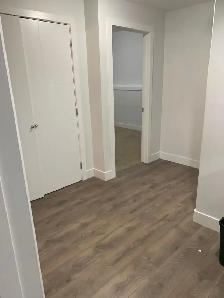 Two Bedroom Legal Basement for rent in Hampton Village - Photo 13
