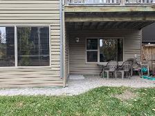 Bright and sunny 2 bedroom walkout basement - Photo 2