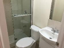 rooms for rent at York University village - Photo 7
