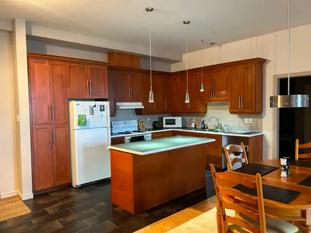 3 1/2  inclus 5 électros, garage, air/clim 1er juin, 1700$/mois