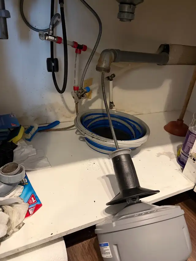 Snake kitchen drain