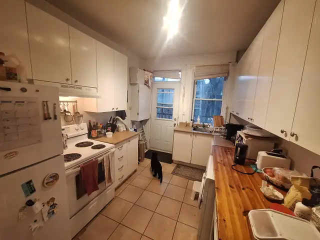 Beau 5 1/2, 2 ch, Verdun, 1 er juillet , lav-séch - Photo 2