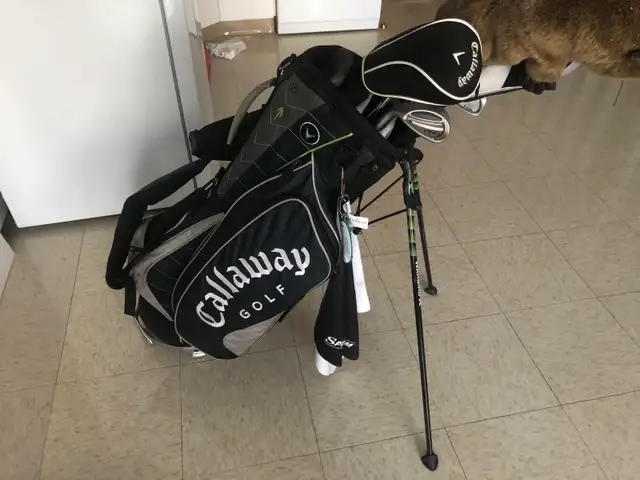 Callaway Golf Bag - Photo 6