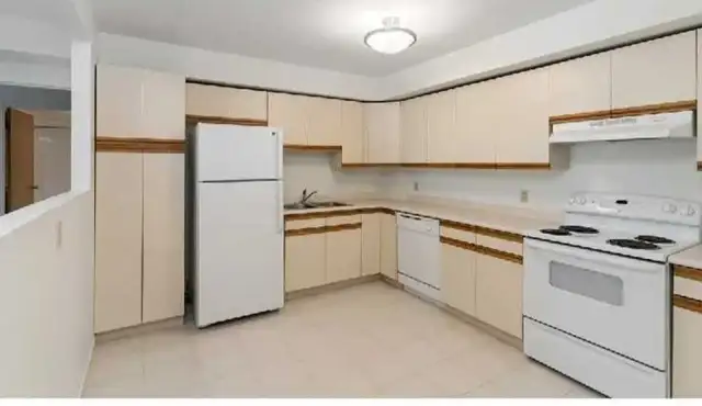 Finding Roommaite - Photo 4