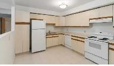 Finding Roommaite - Photo 4