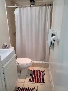 Fully furnished new basement for rent Student/Working girl - Photo 3