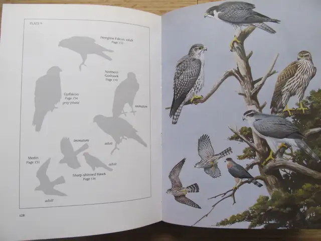 BIRDS OF NOVA SCOTIA by Robie W. Tufts – 1986, 3rd Ed. SC - Photo 6