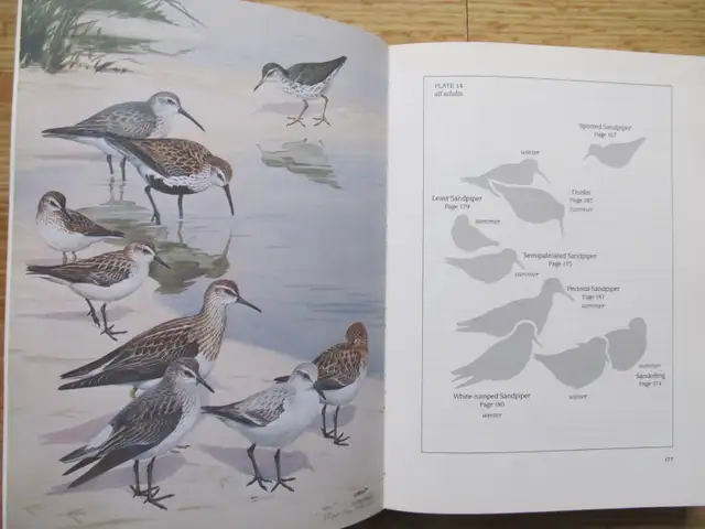 BIRDS OF NOVA SCOTIA by Robie W. Tufts – 1986, 3rd Ed. SC - Photo 7