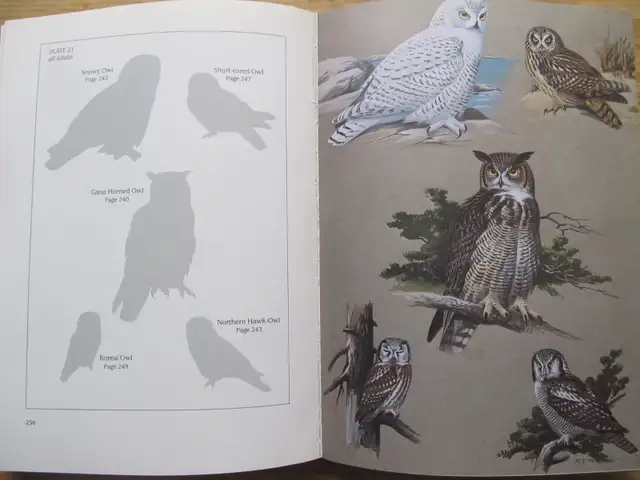 BIRDS OF NOVA SCOTIA by Robie W. Tufts – 1986, 3rd Ed. SC - Photo 8