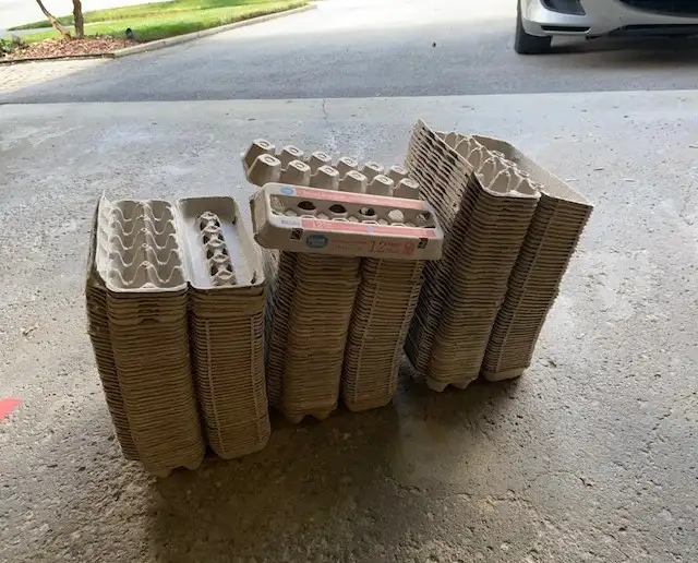 EMPTY  Dozen  EGG CARTONS - Photo 2