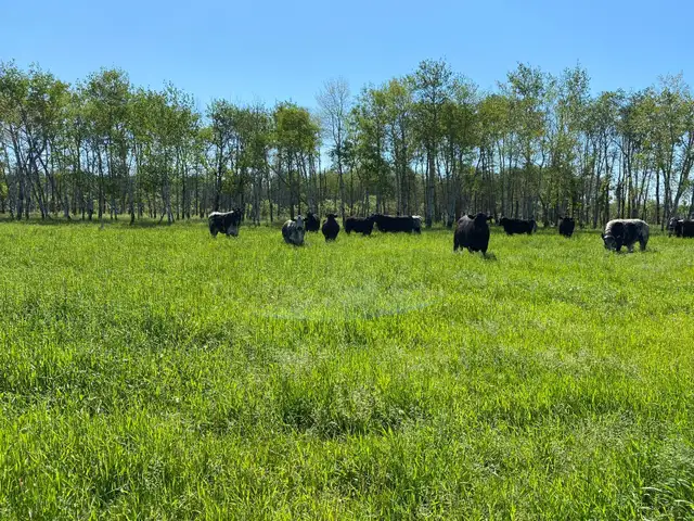 Custom Grazing 2026 - Photo 2