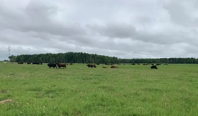 Custom Grazing 2026 - Photo 3