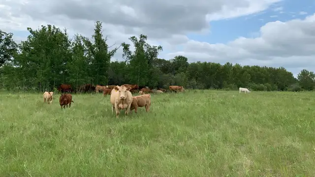 Custom Grazing 2026 - Photo 5