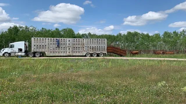 Custom Grazing 2026 - Photo 6