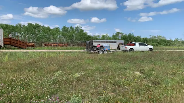 Custom Grazing 2026 - Photo 7